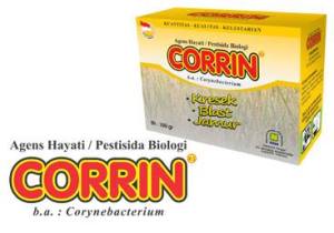 corrrin